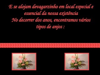 E se alojam devagarzinho em local especial e essencial da nossa existência No decorrer dos anos, encontramos vários tipos de anjos :  