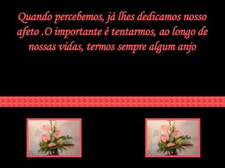 Quando percebemos, já lhes dedicamos nosso afeto .O importante é tentarmos, ao longo de nossas vidas, termos sempre algum anjo 