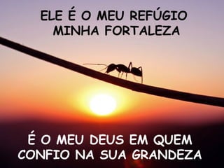 ELE É O MEU REFÚGIO MINHA FORTALEZA É O MEU DEUS EM QUEM CONFIO NA SUA GRANDEZA 
