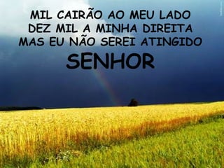 MIL CAIRÃO AO MEU LADO DEZ MIL A MINHA DIREITA MAS EU NÃO SEREI ATINGIDO SENHOR 