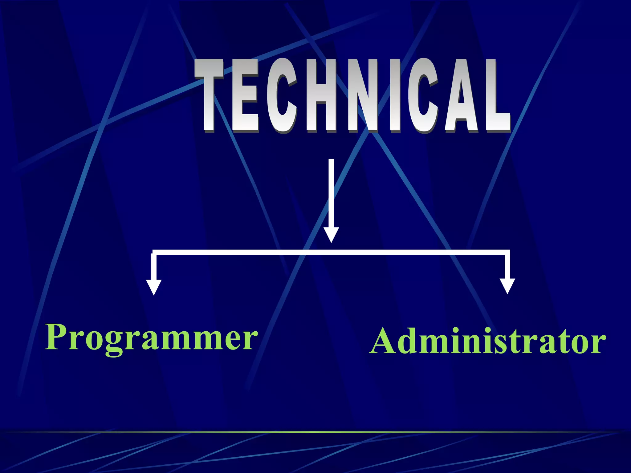 TECHNICAL Programmer Administrator 