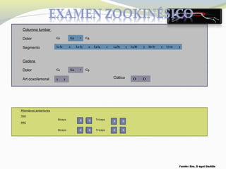 Bíceps Tríceps
Miembros anteriores
MAD
Bíceps Tríceps
MAI
X
X
X
X
X
X
X
X
Fuente: Dra. D ayssi Castillo
Columna lumbar
Dolor
Segmento
Cadera
Dolor
Art coxofemoral
G1 G2 • G3
L1-l2 2 L2-l3 2 L3-l4 2 L4-l5 3 L5-l6 3 L6-l7 3 L7-s1 3
G1 G2 • G3
1 1 Ciático O O
 