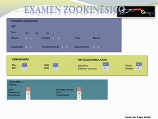 Fuente: Dra. D ayssi Castillo
Miembros posteriores
MPD
Dolor
Glúteo Rodilla Tarso Dedos
Cuádriceps Bíceps femoral Gastrocnemio
G1 G2 G3 •
3 3
3 33 3
3 3
3 3
SENSIBILIDAD
MAI MAD
MPI MPD




REFLEJOS MEDULARES
Isquiático Flexor
Extensor cruzado Patelar
A
no
A
A
TRATAMIENTO
Objetivo
Peso Movilidad articular
Resistencia Dolor
Musculación Propiocepción






 