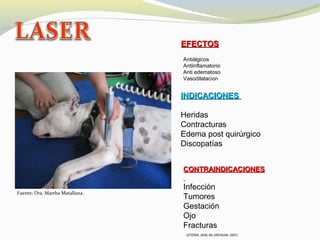 CONTRAINDICACIONESCONTRAINDICACIONES
Infección
Tumores
Gestación
Ojo
Fracturas
INDICACIONESINDICACIONES
Heridas
Contracturas
Edema post quirúrgico
Discopatías
Fuente: Dra. Martha Matallana.
(STERIN, 2008; Mc GROWAN, 2007)
EFECTOSEFECTOS
Antiálgicos
Antiinflamatorio
Anti edematoso
Vasodilatación
 