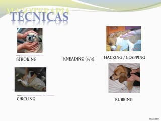 Fuente: http://www.wormsandgermsblog.com/
STROKING KNEADING (>/<) HACKING / CLAPPING
Fuente: http://wn.com/Dog_Massage_Tips_Techniques
CIRCLING RUBBING
(RUIZ, 2007)
 