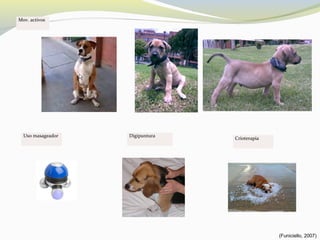 Mov. activos
Uso masageador Digipuntura
Crioterapia
(Funiciello, 2007)
 