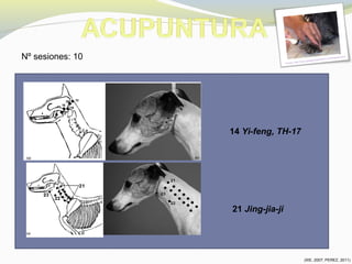 Fuente: http://www.gosdaturasantfost.com/terapias.html
14 Yi-feng, TH-17
21 Jing-jia-ji
Nº sesiones: 10
(XIE, 2007; PEREZ, 2011)
 