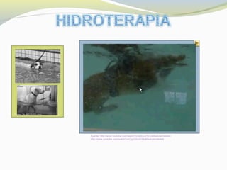 Fuente: Mc GROWAN, 2007
Fuente: http://www.youtube.com/watch?v=x0mJvITjI-U&feature=related
http://www.youtube.com/watch?v=CgyGScx539s&feature=related
 