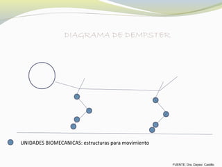 UNIDADES BIOMECANICAS: estructuras para movimiento
DIAGRAMA DE DEMPSTER
FUENTE: Dra. Dayssi Castillo
 