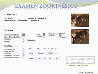 1. Examen neurológico completo.
*
2. Examen ortopédico.
Fuente: Dra. D ayssi Castillo
Inclinación cefálica
Base de sustentación
Estación
Atrofia
Propiocepción
Coordinación
Equilibrio
Capacidad funcional
Movimiento cefálico
N
A
A
D
Dolor
Temblor
Paraparesia
+ Soporte peso
Columna
A
A
>MAS
Xifosis
O
A
A
A

MAI MAD MPI O MPD O
Ataxia Paresia o Parálisis
Claudica I II III IV
EXAMEN FISICO
ESTATICA Normal N; Anormal A;
Disminuido D ; Aumentado + ; Ausente 0
ESTACION
DINÁMICA
 