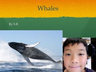 Whales By S.B. 