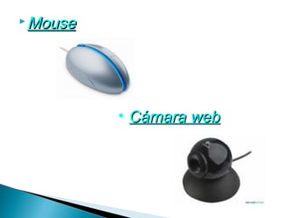  Mouse




          • Cámara web
 