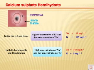 HUMAN CELL
BLOOD
PLASMA
High concentration of Na+
and low concentration of K+
High concentration of K+ and
low concentration of Na+
Na = 10 mg L–1
K = 105 mg L–1
Na = 143 mg L–1
K = 5 mg L–1
Inside the cell and tissue
In fluid, bathing cells
and blood plasma
Calcium sulphate Hemihydrate
 