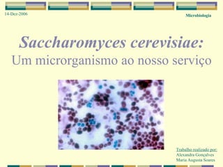 Saccharomyces cerevisiae: Um microrganismo ao nosso serviço Trabalho realizado por: Alexandra Gonçalves Maria Augusta Soares Microbiologia 14-Dez-2006 