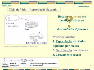 Microbiologia 14-Dez-2006 9 Ciclo de Vida – Reprodução Sexuada Resulta da  meiose  em condições adversas descendentes diferentes ? Processo envolve 1.  Esporulação  de células diplóides por meiose 2.  Germinação  dos esporos 3.  Cruzamento  sexual figuras  in  www.iq.unesp.br/flotacao/MODULO2/principal2.htm  