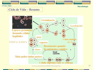 Microbiologia 14-Dez-2006 10 Ciclo de Vida – Resumo in  www.iq.unesp.br/flotacao/MODULO2/principal2.htm  