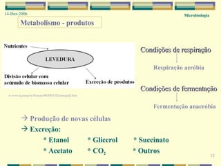 Microbiologia 14-Dez-2006 12 Metabolismo - produtos Produção de novas células Excreção:  * Etanol * Glicerol  * Succinato * Acetato * CO 2   * Outros in  www.iq.unesp.br/flotacao/MODULO2/principal2.htm  Condições de respiração Respiração aeróbia Condições de fermentação Fermentação anaeróbia 