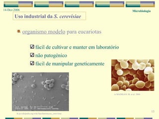 Microbiologia 14-Dez-2006 13 Uso industrial da  S. cerevisiae organismo modelo  para eucariotas fácil de cultivar e manter em laboratório não patogénico fácil de manipular geneticamente in  MADIGAN, M. et al. 2004 In pt.wikipedia.org/wiki/Saccharomyces_cerevisiae 