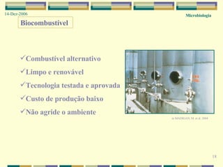 Microbiologia 14-Dez-2006 18 Biocombustível Combustível alternativo Limpo e renovável Tecnologia testada e aprovada Custo de produção baixo Não agride o ambiente in  MADIGAN, M. et al. 2004 
