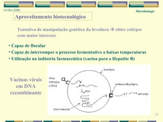 Microbiologia 14-Dez-2006 21 Aproveitamento biotecnológico Tentativa de manipulação genética da levedura    obter estirpes com maior interesse Capaz de flocular Capaz de interromper o processo fermentativo a baixas temperaturas Utilização na indústria farmaceútica (vacina para a Hepatite B) Vacinas virais em DNA recombinante 