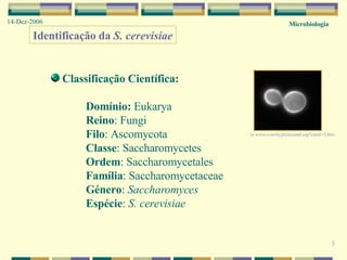 3 Identificação da  S. cerevisiae Classificação Científica: Domínio:  Eukarya Reino : Fungi Filo : Ascomycota Classe : Saccharomycetes Ordem : Saccharomycetales Família : Saccharomycetaceae Género :  Saccharomyces Espécie :  S. cerevisiae Microbiologia 14-Dez-2006 in  www.e-esola.ptsitecanal.asp?canal=5.htm 