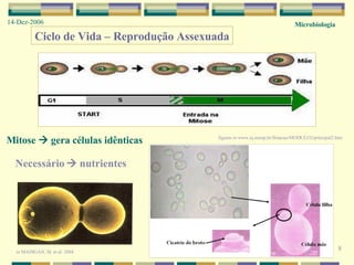 Microbiologia 14-Dez-2006 8 Ciclo de Vida – Reprodução Assexuada Necessário    nutrientes Mitose    gera células idênticas figuras  in  www.iq.unesp.br/flotacao/MODULO2/principal2.htm  in  MADIGAN, M. et al. 2004 