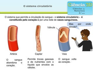 O sistema circulatório



O sistema que permite a circulação do sangue - o sistema circulatório - é
    constituído pelo coração e por uma rede de vasos sanguíneos.
                                                            Mas      por    onde
                                        Válvula             circula?




    Artéria                 Capilar                  Veia

 O      sangue       Permite trocas gasosas       O sangue volta
 abandona    o       e de nutrientes com o        ao coração.
 coração.            líquido que envolve as
                     células.
 