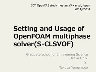 Setting and Usage of OpenFOAM multiphase solver (S-CLSVOF) | PDF