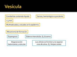 Máculas pigmentarias