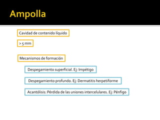 PápulaElevación circunscripta de la pielSólidaSuperficial<0.5 cm de diámetroResolución espontánea y no deja cicatriz