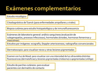 ImpétigoPénfigo vulgarDermatitis herpetiforme de Duhring