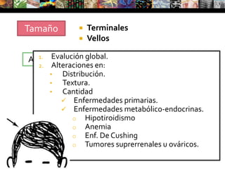 EscamasLaminillas de la capa córnea que se desprenden espontáneamente de la superficie cutánea. Ej: Ictiosis
