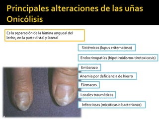 Pérdida superficial de sustancia.