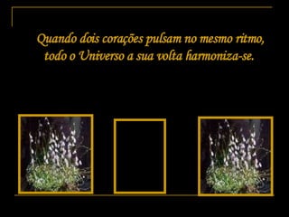 Quando dois corações pulsam no mesmo ritmo, todo o Universo a sua volta harmoniza-se.  