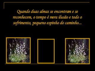 Quando duas almas se encontram e se reconhecem, o tempo é mera ilusão e todo o sofrimento, pequeno espinho do caminho... 