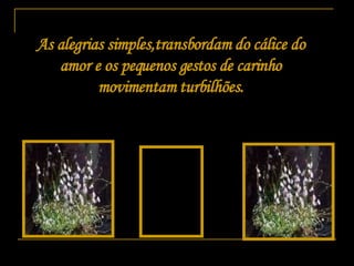 As alegrias simples,transbordam do cálice do amor e os pequenos gestos de carinho movimentam turbilhões. 