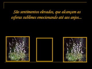 São sentimentos elevados, que alcançam as esferas sublimes emocionando até aos anjos...   