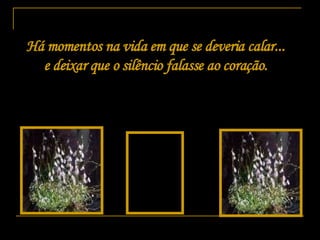 Há momentos na vida em que se deveria calar... e deixar que o silêncio falasse ao coração. 