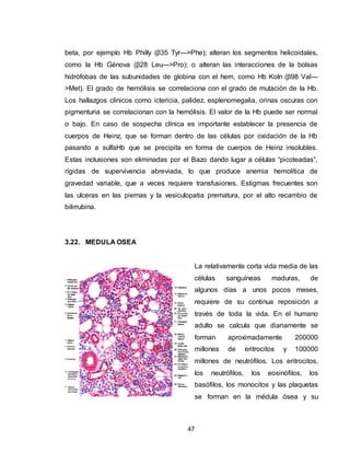 Sistema hemopoyetico | DOCX