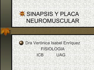 SINAPSIS Y PLACA NEUROMUSCULAR Dra Verónica Isabel Enríquez FISIOLOGIA ICB  UAG  