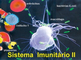 Sistema Imunitário II
 