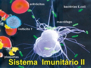 Sistema  Imunit ário II 