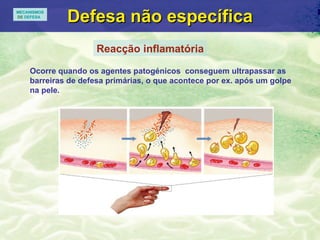 Defesa n ão específica Ocorre quando os agentes patog énicos  conseguem ultrapassar as barreiras de defesa primárias, o que acontece por ex. após um golpe na pele. Envolve  mediadores químicos  e  fagócitos. Reacção inflamatória MECANISMOS DE  DEFESA 