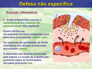 Defesa n ão específica 2 - Estas substâncias causam a  vasodilatação  e o  aumento da permeabilidade  dos capilares.  Assim verifica-se: Um aumento do fluxo sanguíneo para essa zona provocando  rubor e calor. Um aumento da quantidade de fluido intersticial nos tecidos envolventes provocando  edema. A distensão dos tecidos provocada pelo edema e a acção de substâncias químicas sobre as terminações nervosas provocam  dor. Reacção inflamatória 