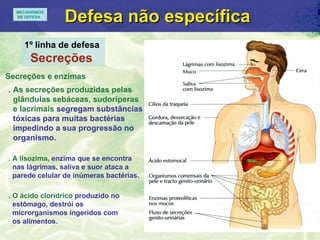 Defesa n ão específica  1º linha de defesa   Secreções  . As secreç ões produzidas pelas  glândulas sebáceas, sudoríperas  e lacrimais  segregam substâncias  tóxicas para muitas bactérias  impedindo a sua progressão no  organismo. . A lisozima , enzima que se encontra  nas l ágrimas, saliva e suor  ataca a  parede celular de in úmeras bactérias. Secreç ões e enzimas   . O ácido clorídrico  produzido no  estômago, destrói os  microrganismos ingeridos com  os alimentos. MECANISMOS DE  DEFESA 