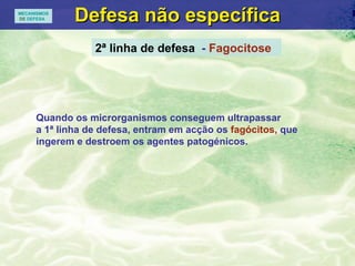 Defesa n ão específica 2ª linha de defesa   -  Fagocitose  Quando os microrganismos conseguem ultrapassar a 1ª linha de defesa, entram em acç ão os  fagócitos,  que ingerem e destroem os agentes patogénicos.   MECANISMOS DE  DEFESA 