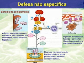 Defesa n ão específica Sistema de complemento Aderem às membranas dos micróbios, dificultando a sua mobilidade, Intensific...