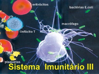 Sistema Imunitário III
 