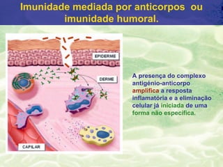 Imunidade mediada por anticorpos ou
        imunidade humoral.




                     A presença do complexo
                     antigénio-anticorpo
                     amplifica a resposta
                     inflamatória e a eliminação
                     celular já iniciada de uma
                     forma não específica.
 
