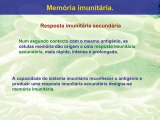 Memória imunitária.

            Resposta imunitária secundária

   Num segundo contacto com o mesmo antigénio, as
   células memória dão origem a uma resposta imunitária
   secundária, mais rápida, intensa e prolongada.




A capacidade do sistema imunitário reconhecer o antigénio e
produzir uma resposta imunitária secundária designa-se
memória imunitária.
 